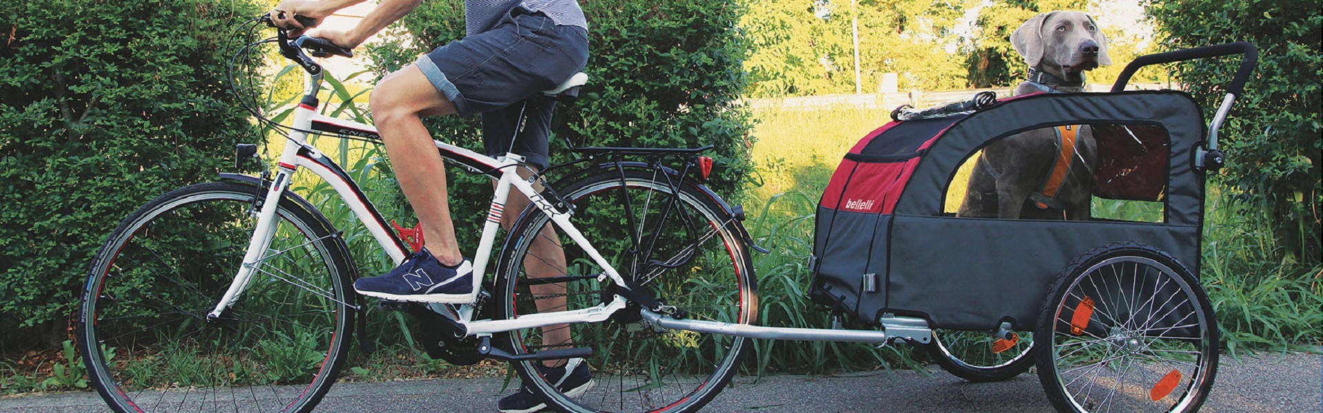 italy bike friendly | Bike rental portofino | bike rent in riviera | electric bike in italy